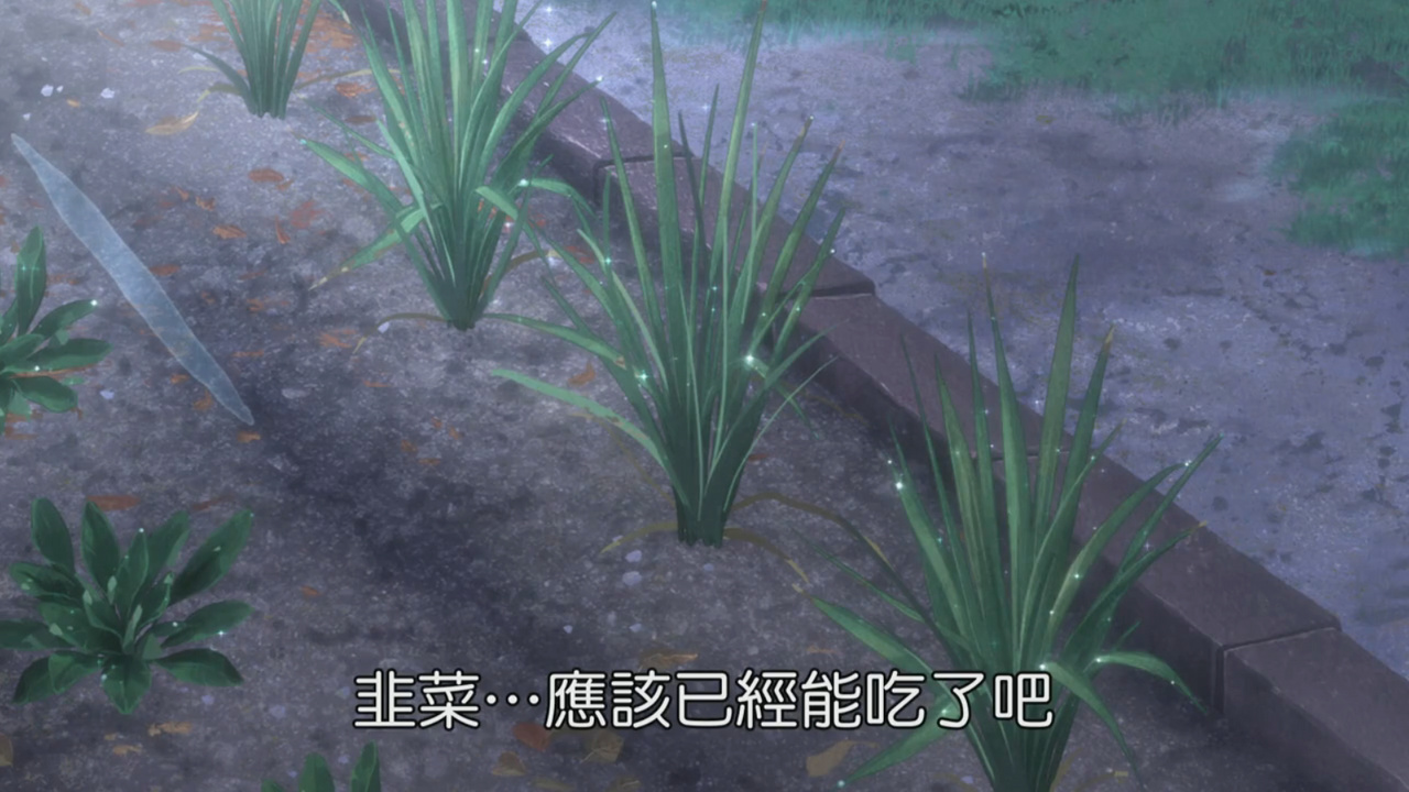 韭菜…应该已经能吃了吧