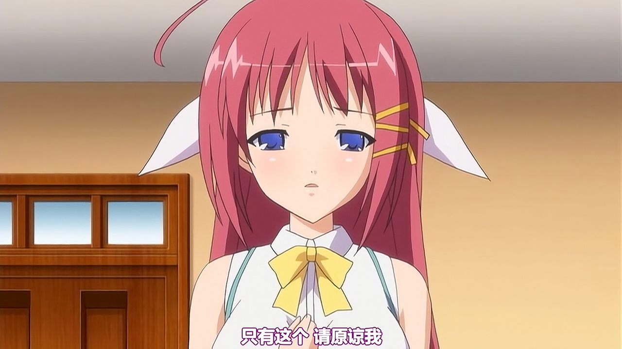 只有这个 请原谅我