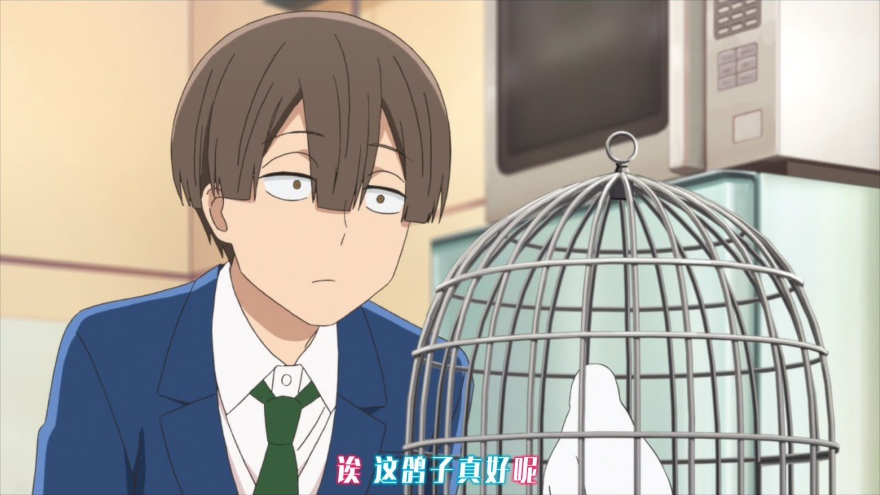 诶 这鸽子真好呢