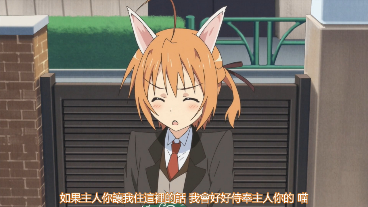如果主人你让我住这里的话 我会好好侍奉主人你的 喵