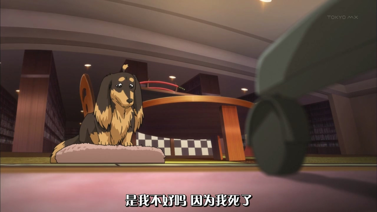 是我不好吗 因为我死了