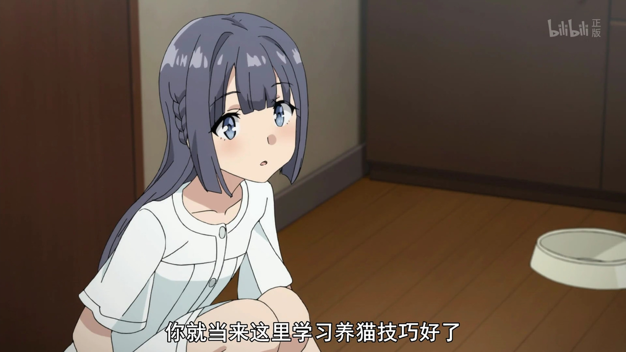 你就当来这里学习养猫技巧了