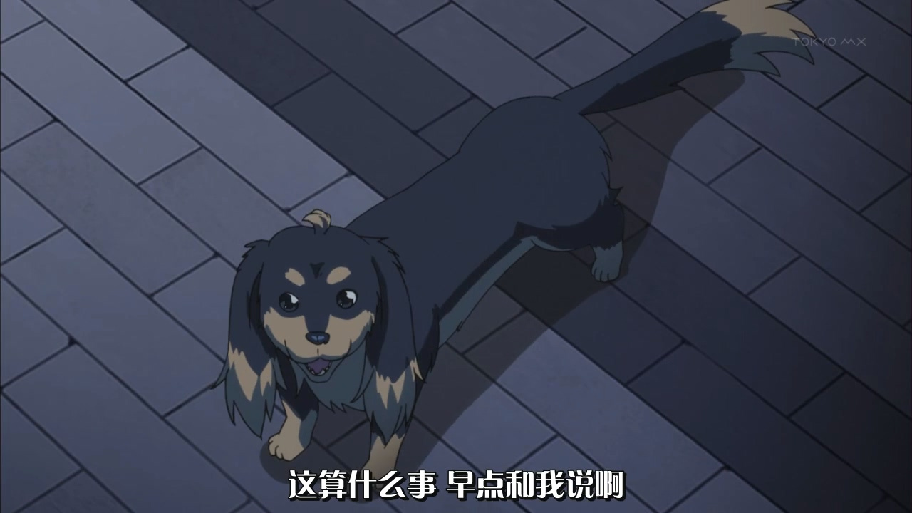 这算什么事 早点和我说啊