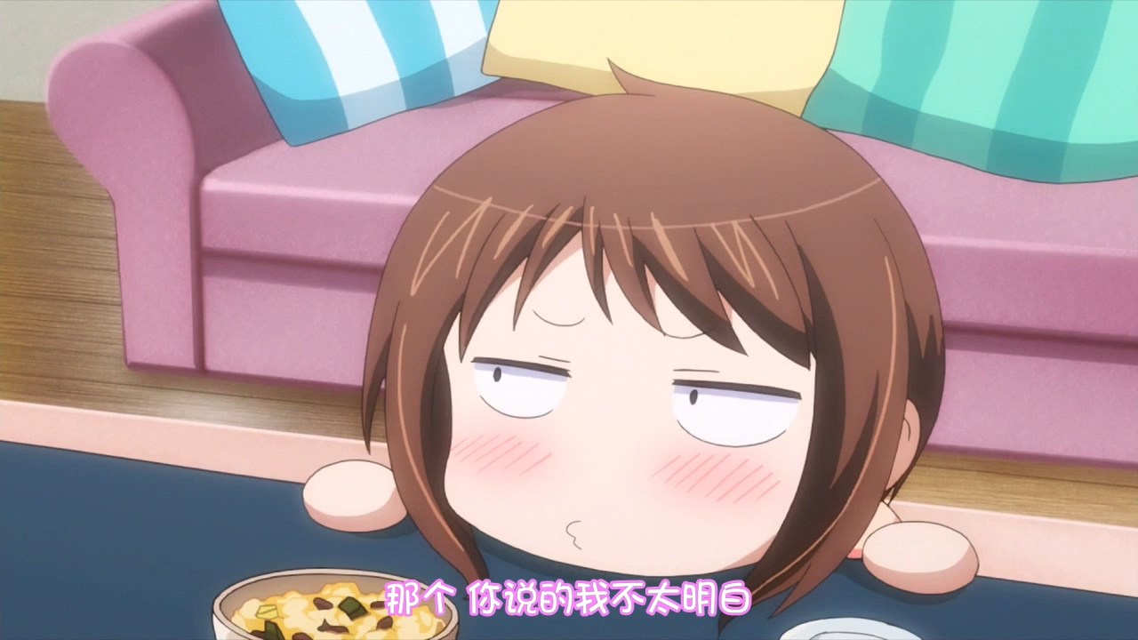 那个 你说的我不太明白