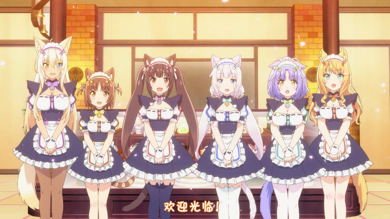 欢迎光临！