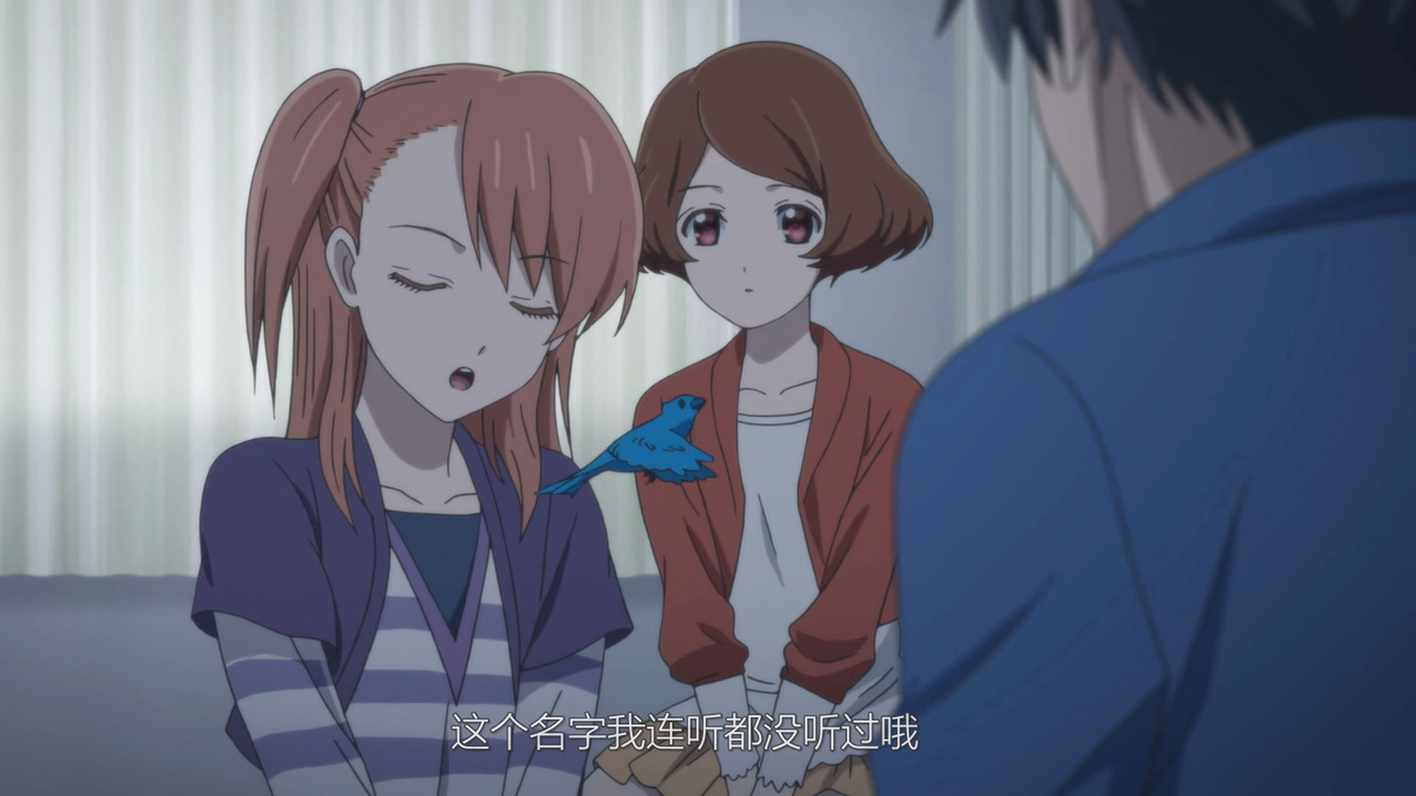 这个名字我连听都没听过哦