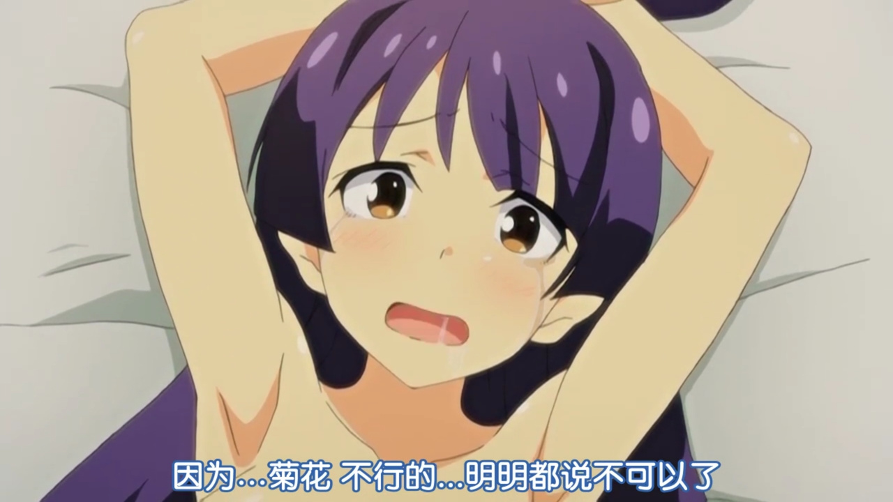因为…菊花 不行的…明明都说不可以了