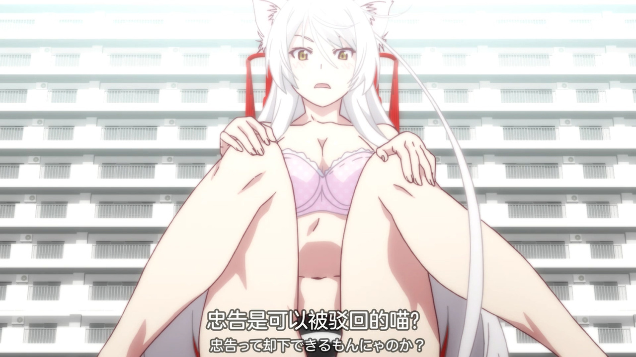 忠告是可以被驳回的喵？