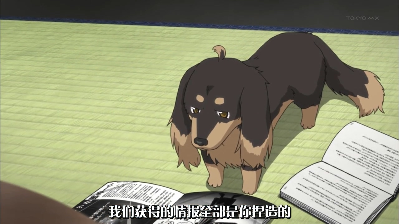 我们获得的情报全部都是你捏造的