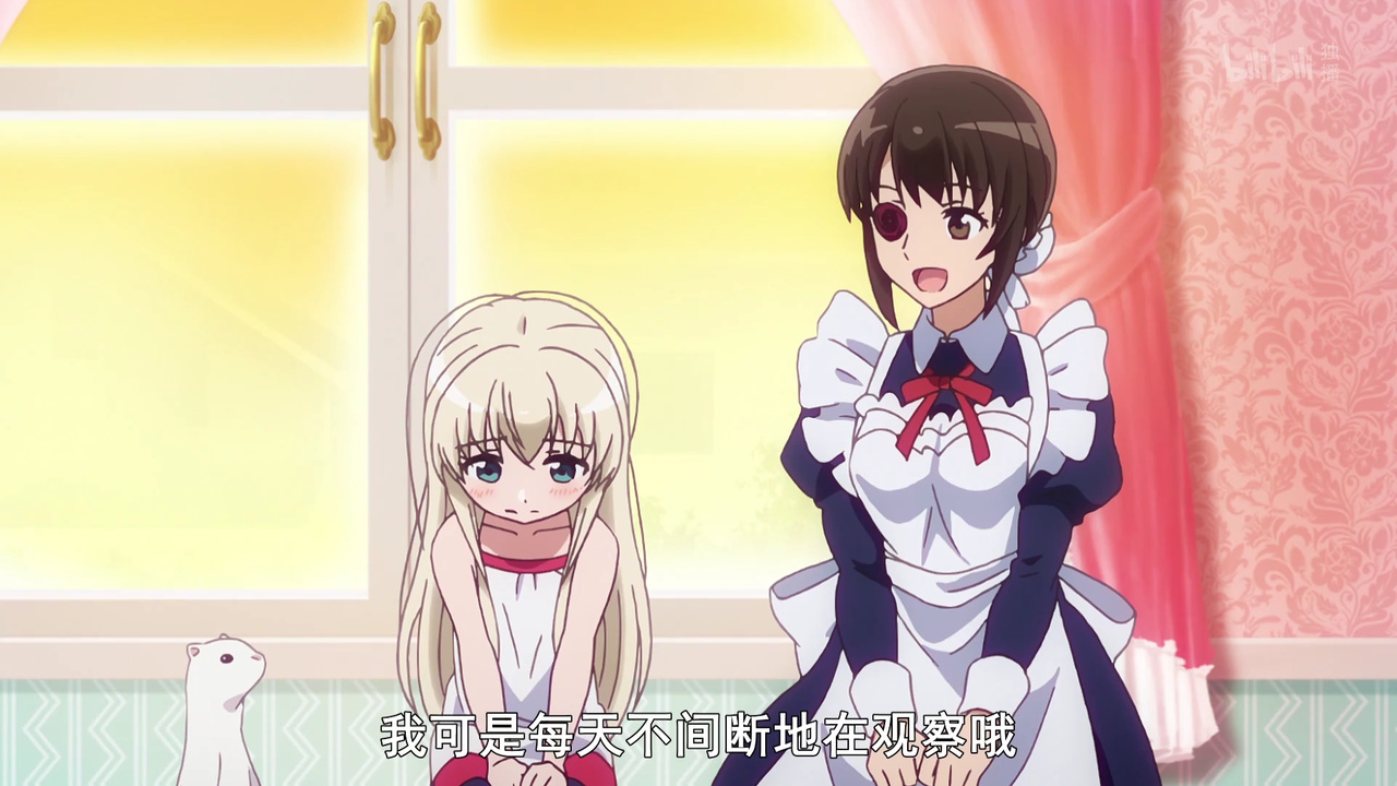 我可是每天不间断地在观察哦