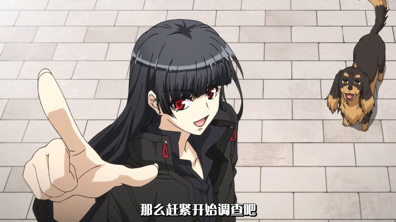 那么赶紧开始调查吧