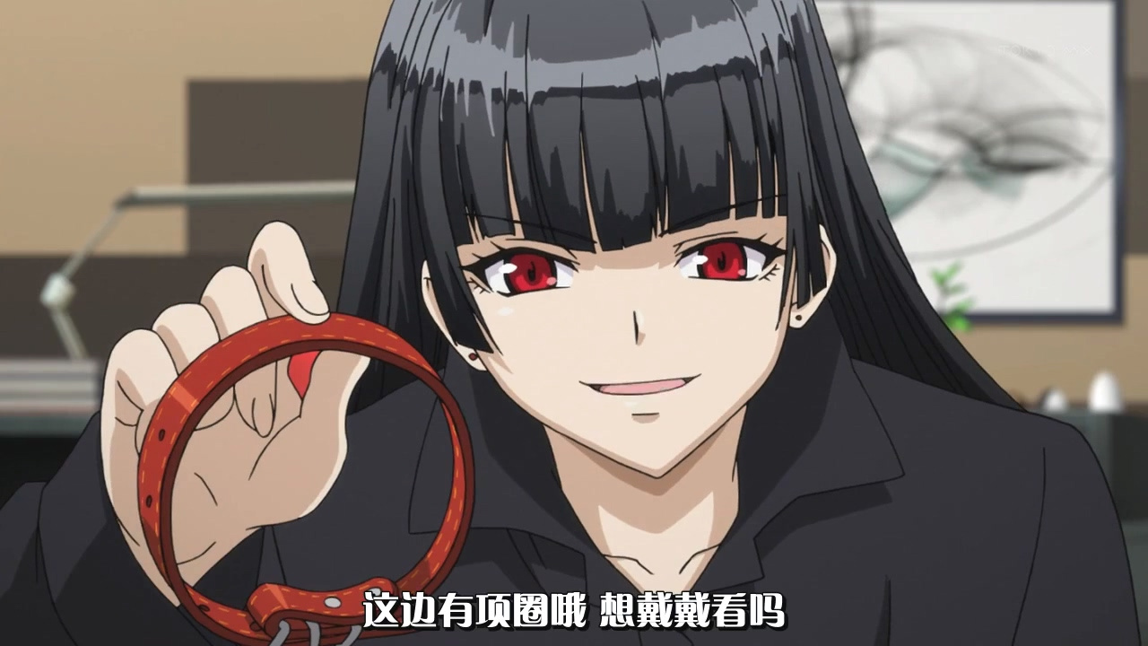 这里有项圈哦 想戴戴看吗