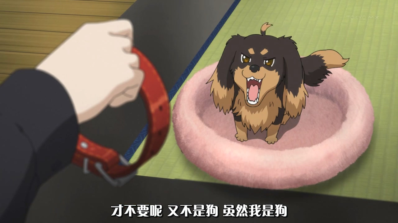 才不要呢 又不是狗 虽然我是狗