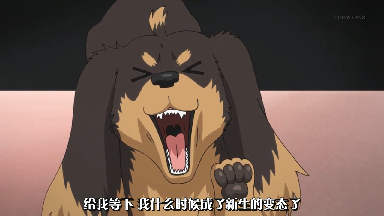 给我等下 我什么时候成了新生的变态了