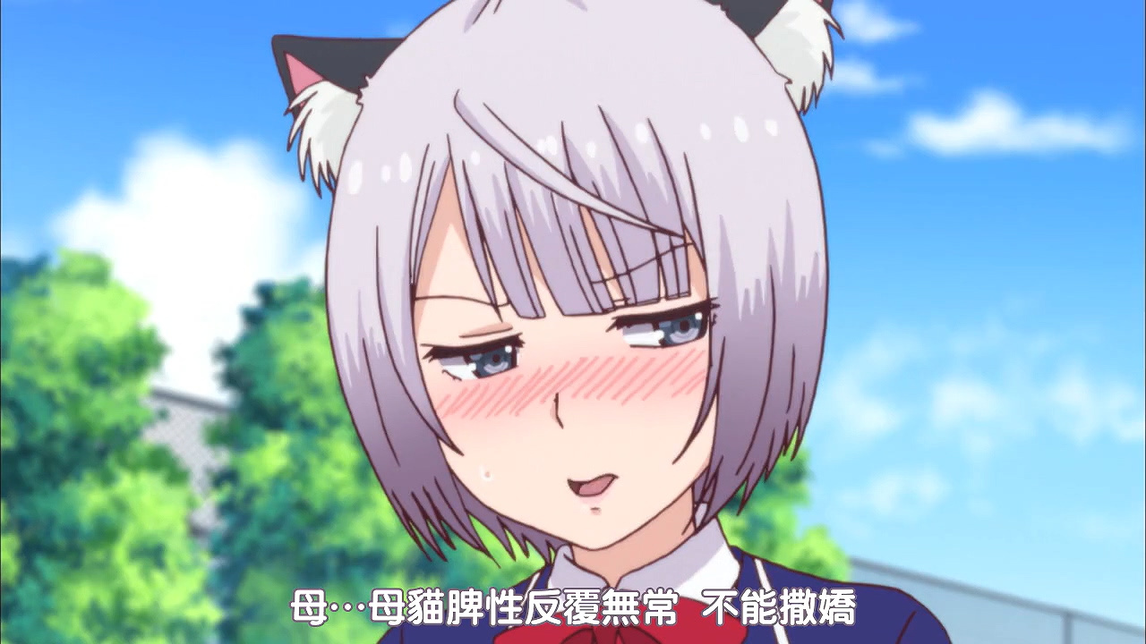 母…母猫脾性反复无常 不能撒娇