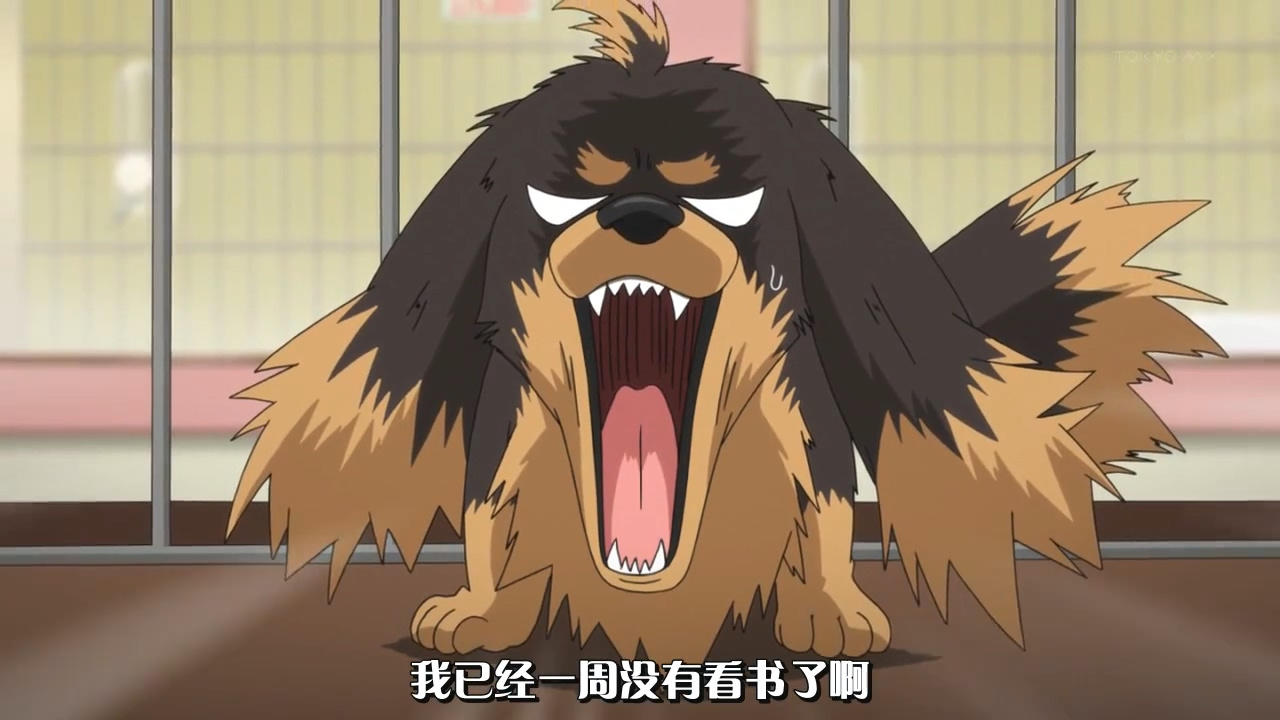 我已经一周没有看书了啊