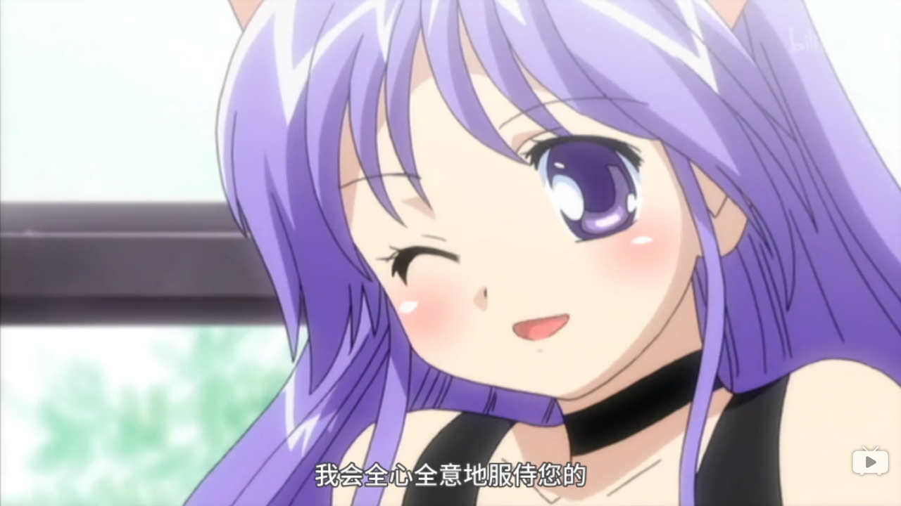 我会全心全意地服侍您的